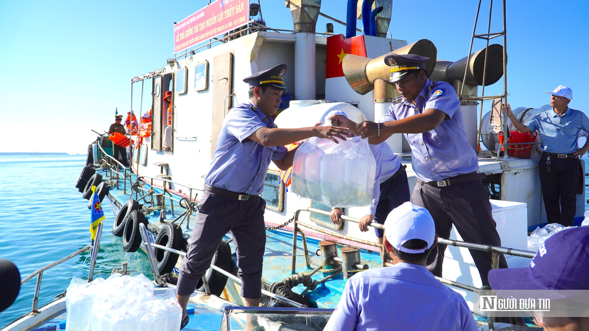 Thả 1,4 triệu con giống từ biển Hòn Cau đến hồ Tà Đùng, chung tay “hồi sinh” nguồn lợi thủy sản - Ảnh 9.