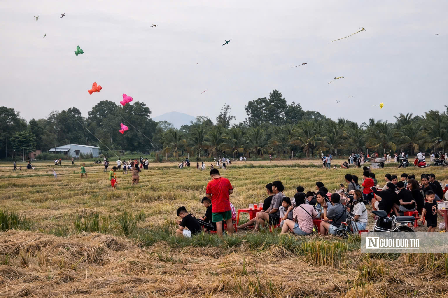 Nhộn nhịp điểm thả diều cuối tuần tại Gò Kén- Ảnh 2.