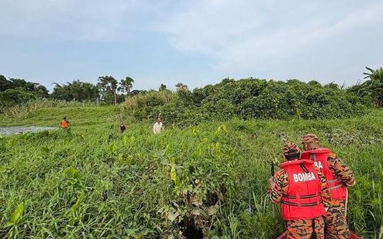 Hai bố ngất xỉu, đến viện b&aacute;c sĩ gắp ra thứ "đ&aacute;ng sợ" b&ecirc;n trong - Ảnh 2.