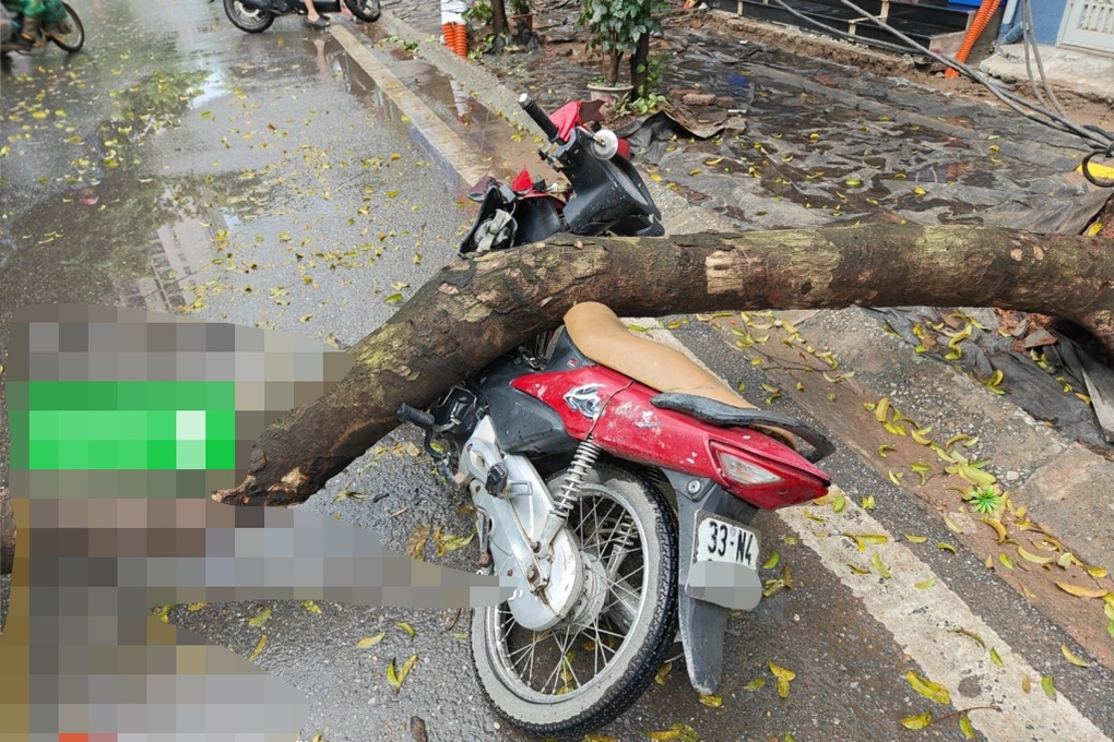 Hà Nội: Đang lưu thông trên phố, nam tài xế bất ngờ bị cây xanh bật gốc đè trúng phải nhập viện cấp cứu- Ảnh 1. Hà Nội: Đang lưu thông trên phố, nam tài xế bất ngờ bị cây xanh bật gốc đè trúng phải nhập viện cấp cứu- Ảnh 1.