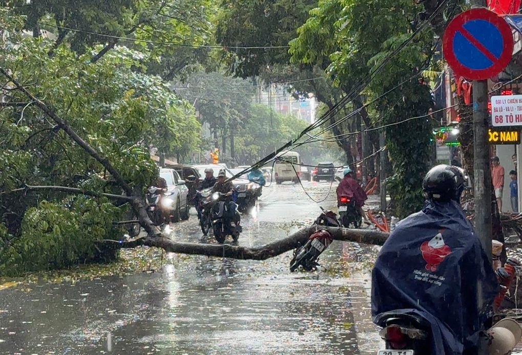Hà Nội: Đang lưu thông trên phố, nam tài xế bất ngờ bị cây xanh bật gốc đè trúng phải nhập viện cấp cứu- Ảnh 2. Hà Nội: Đang lưu thông trên phố, nam tài xế bất ngờ bị cây xanh bật gốc đè trúng phải nhập viện cấp cứu- Ảnh 2.