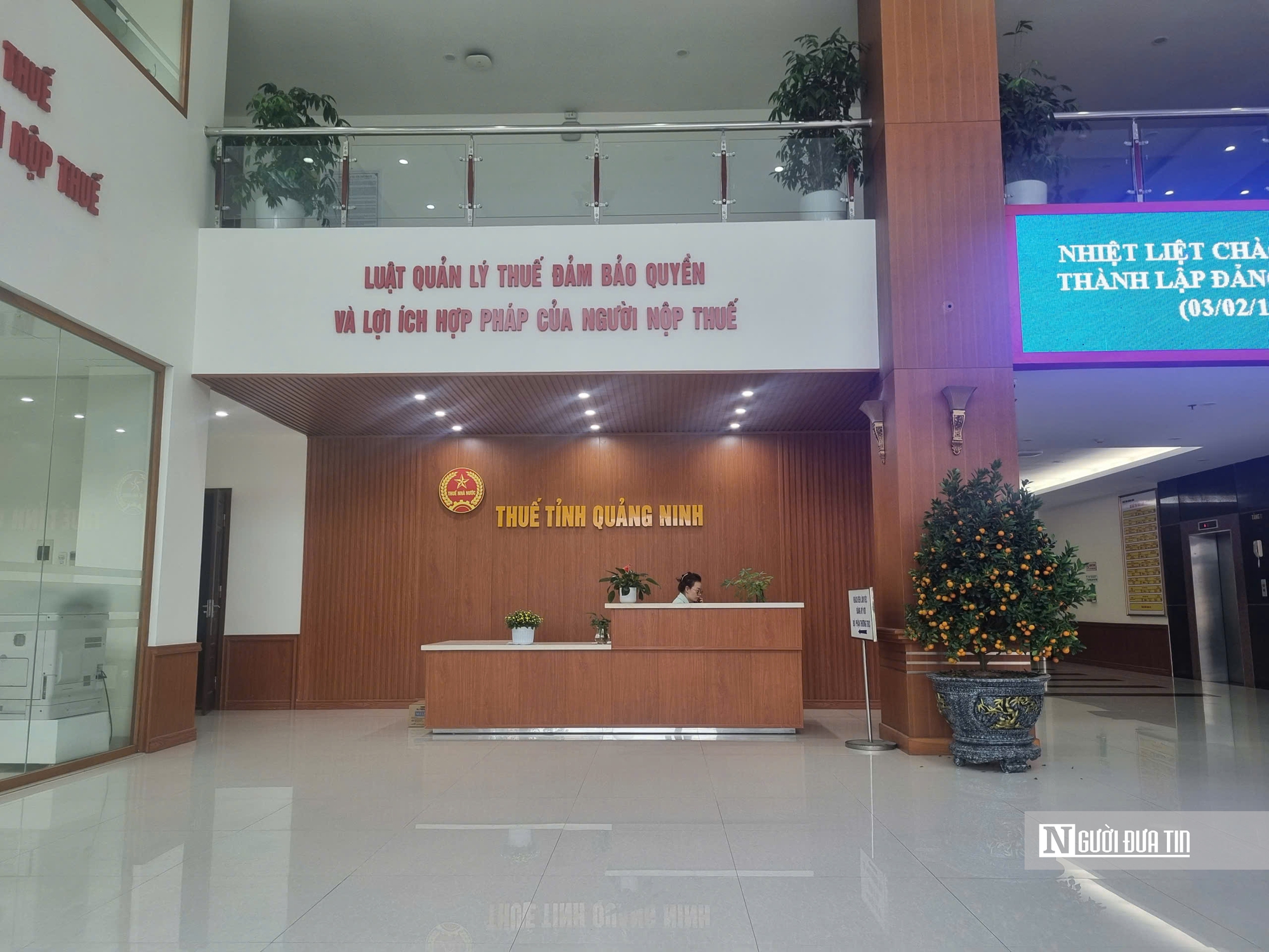 Thuế Quảng Ninh thu gần 10.000 tỷ đồng sau 2 tháng đầu năm 2026 - Ảnh 2.