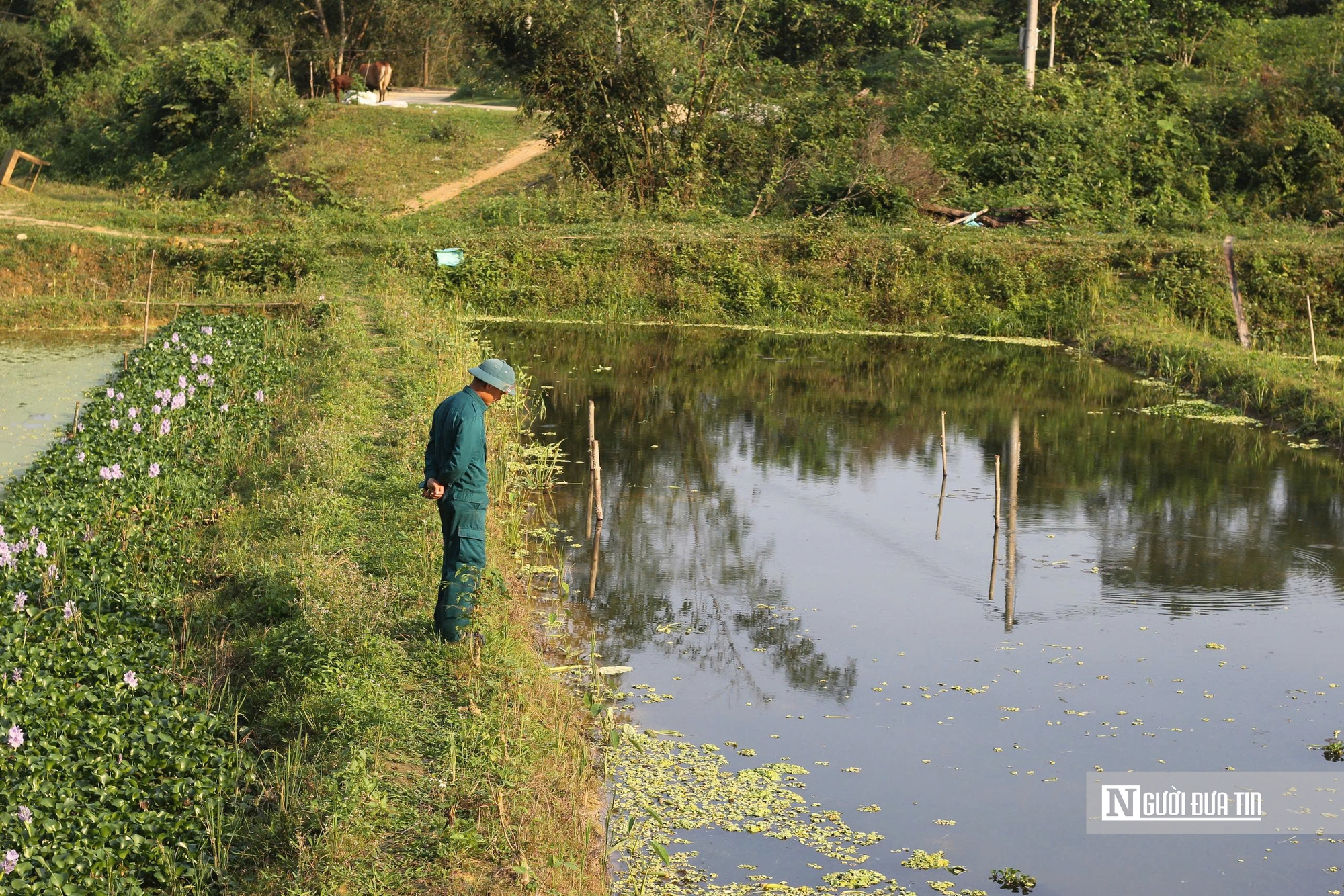Hà Tĩnh: Nuôi con “vàng đen”, người nông dân nhẹ nhàng nhặt lên kiếm tiền triệu - Ảnh 1.