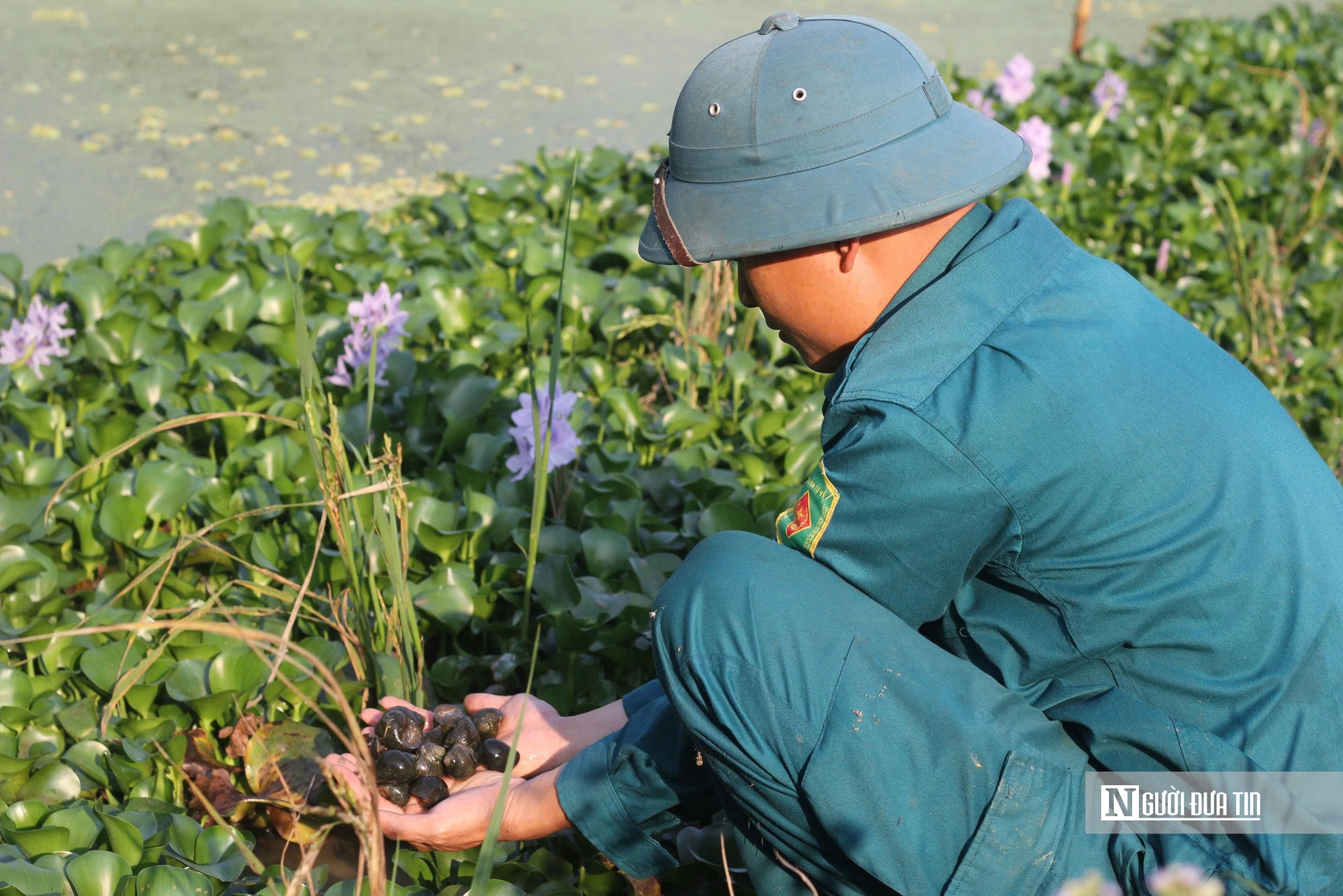 Hà Tĩnh: Nuôi con “vàng đen”, người nông dân nhẹ nhàng nhặt lên kiếm tiền triệu - Ảnh 4.