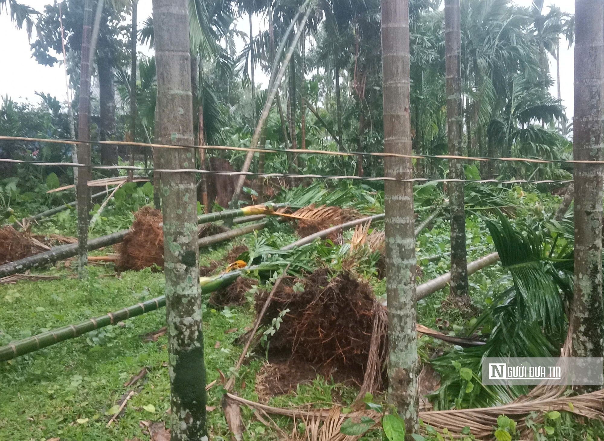 30 phút bị Lốc xoáy càn quyét, 116 nhà dân ở Quảng Ngãi hư hỏng- Ảnh 2.