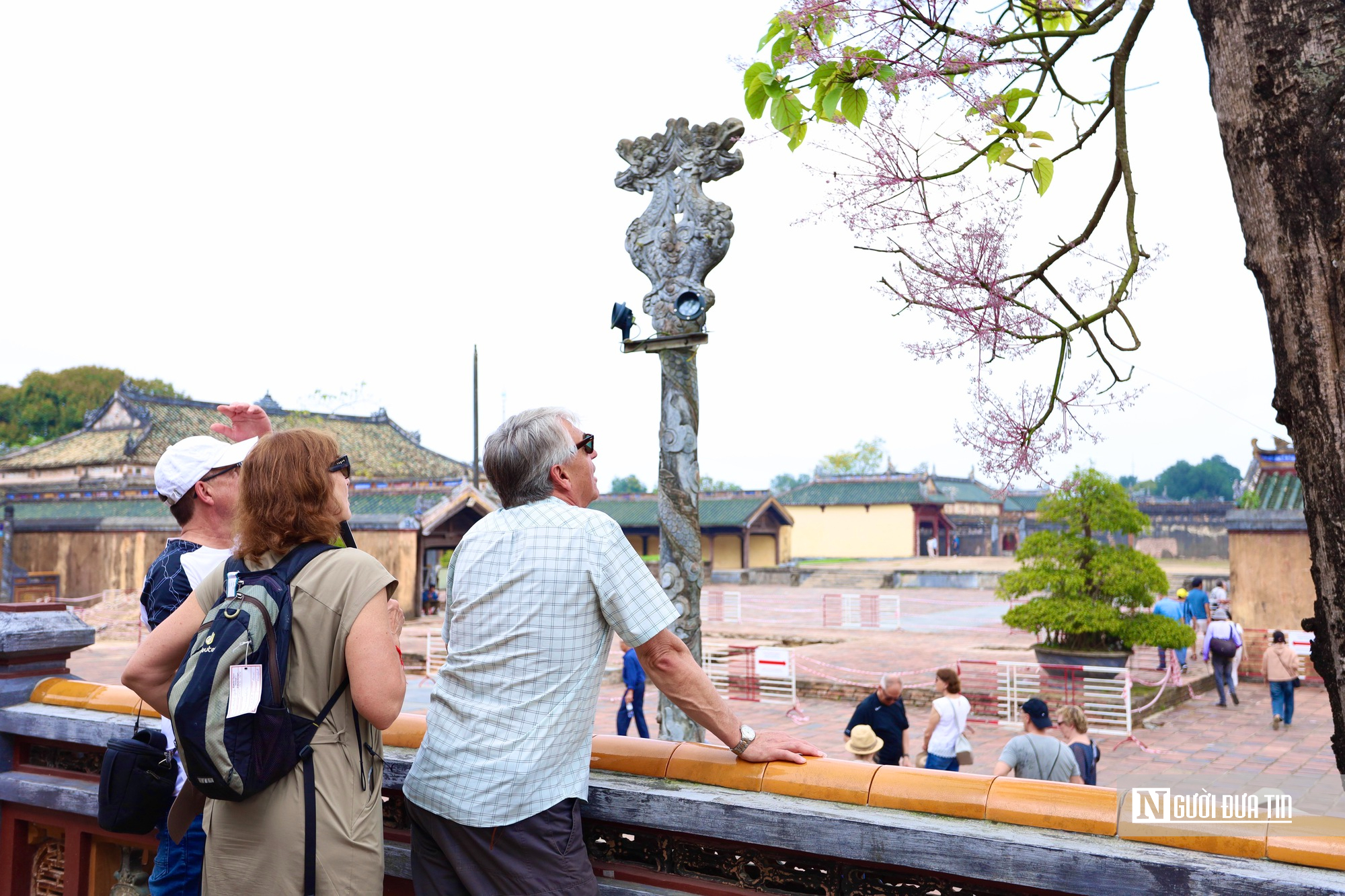 L&yacute; do "vương giả chi hoa" được trồng trong Ho&agrave;ng th&agrave;nh Huế - Ảnh 7.