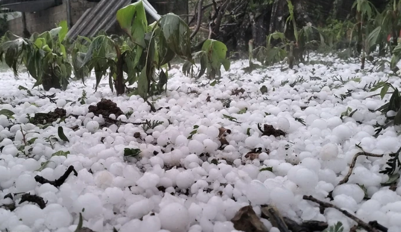 Mưa đá, giông lốc càn quét miền Bắc: 4 người tử vong, hơn 6.500 nhà tốc mái, thiệt hại nặng nề - Ảnh 1.