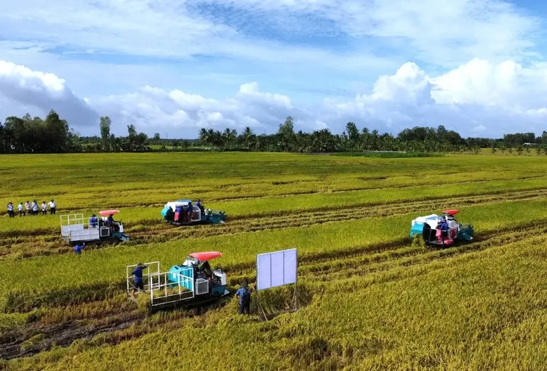 Doanh nghiệp, hiệp hội chung tay giữ nhịp sản xuất n&ocirc;ng nghiệp- Ảnh 2.
