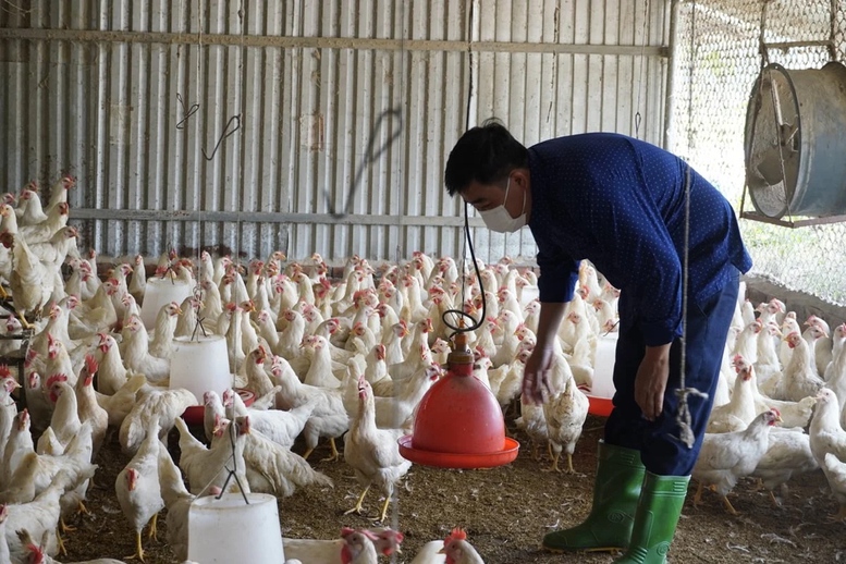 Doanh nghiệp, hiệp hội chung tay giữ nhịp sản xuất n&ocirc;ng nghiệp- Ảnh 4.