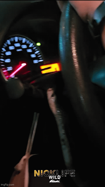 Chuy&ecirc;n gia bắt rắn chia sẻ trải nghiệm khi hổ mang cắn r&aacute;ch bao tải - Ảnh 1.