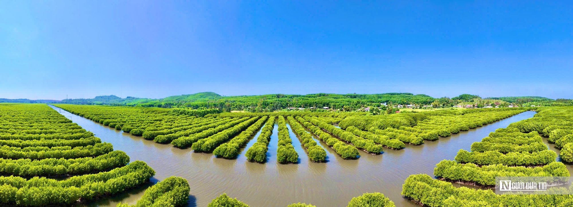 Ngắm đầm ngập mặn tựa “miền Tây thu nhỏ” ở Quảng Ngãi- Ảnh 1. Ngắm đầm ngập mặn tựa “miền Tây thu nhỏ” ở Quảng Ngãi- Ảnh 1.