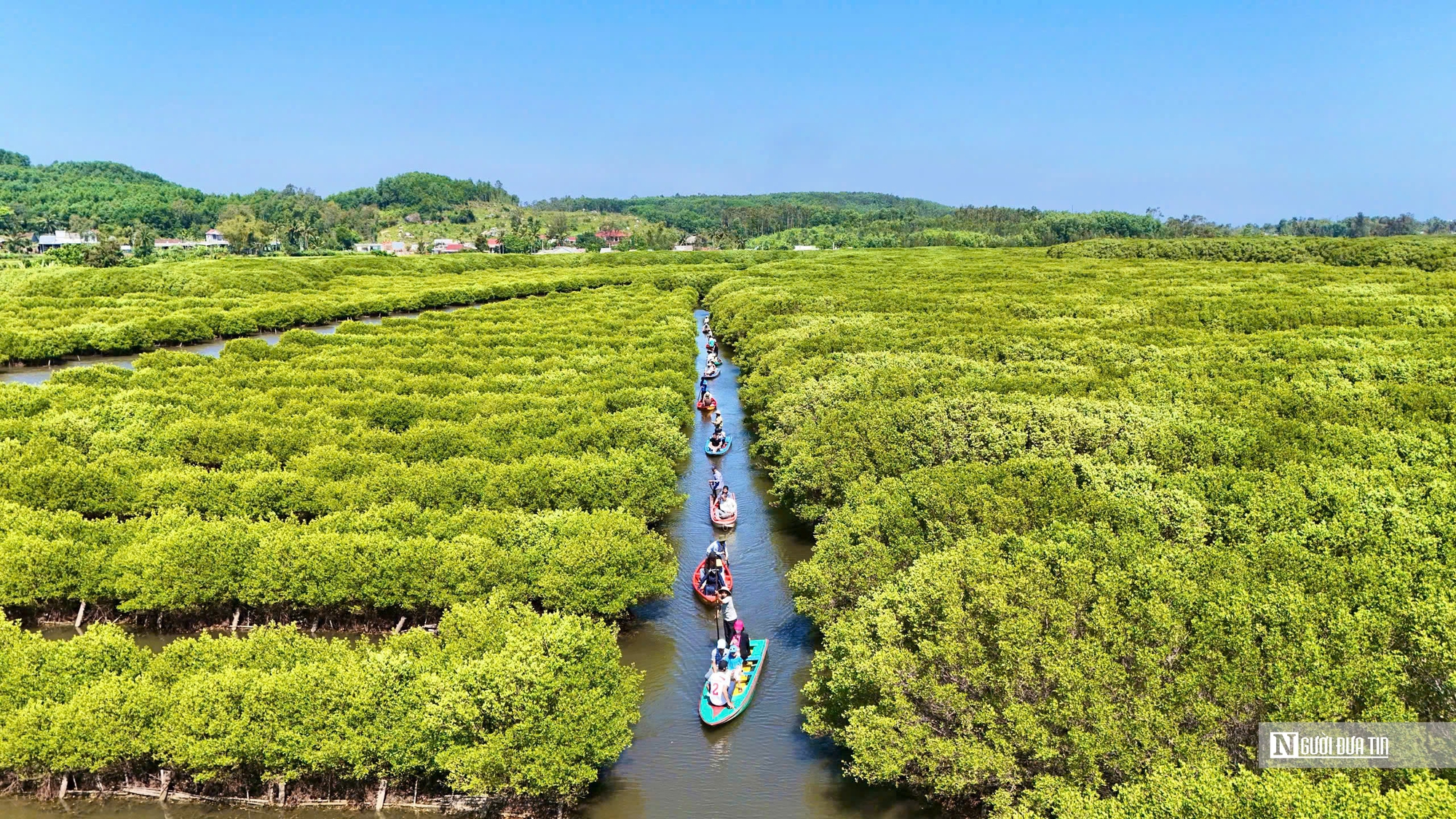 Ngắm đầm ngập mặn tựa “miền Tây thu nhỏ” ở Quảng Ngãi- Ảnh 3. Ngắm đầm ngập mặn tựa “miền Tây thu nhỏ” ở Quảng Ngãi- Ảnh 3.