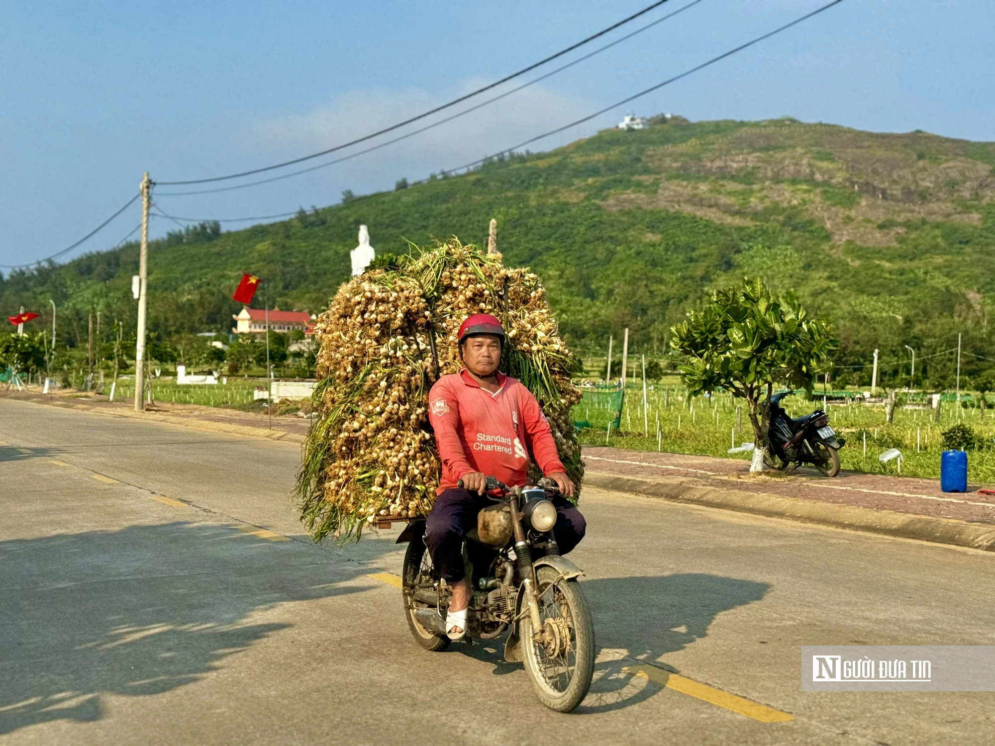Chạy đua thu hoạch tỏi trên đảo Lý Sơn, ngày thu tiền triệu- Ảnh 3.