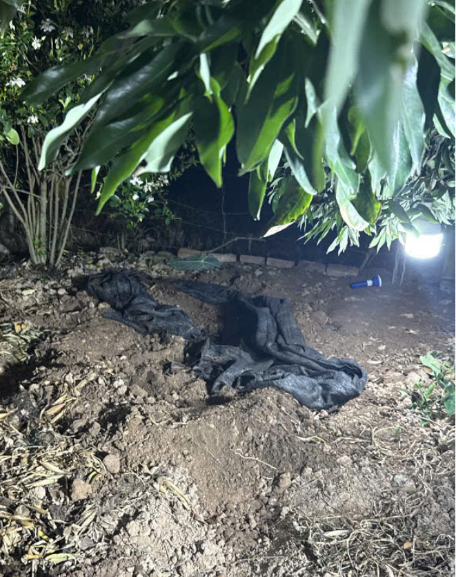 Nghi vấn cháu họ sát hại cụ bà, chôn thi thể trong vườn - Ảnh 2.