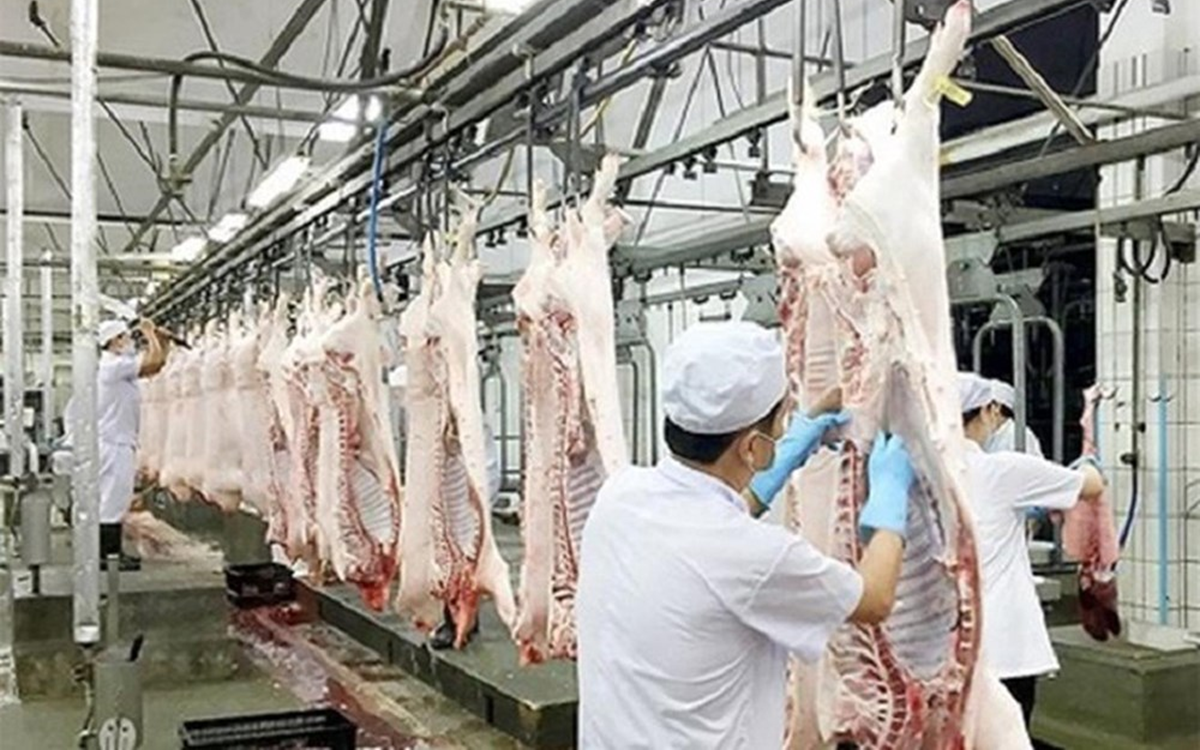Thủ tướng ra công điện chấn chỉnh kiểm soát giết mổ sau vụ heo bệnh quy mô lớn