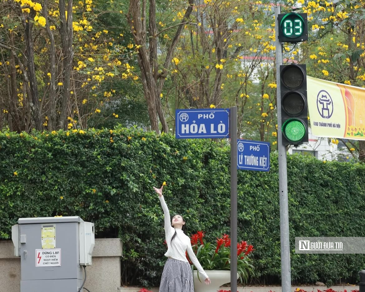 Hoa phong linh nhuộm v&agrave;ng rực trời H&agrave; Nội, giới trẻ &ugrave;n &ugrave;n k&eacute;o đến check-in - Ảnh 4.