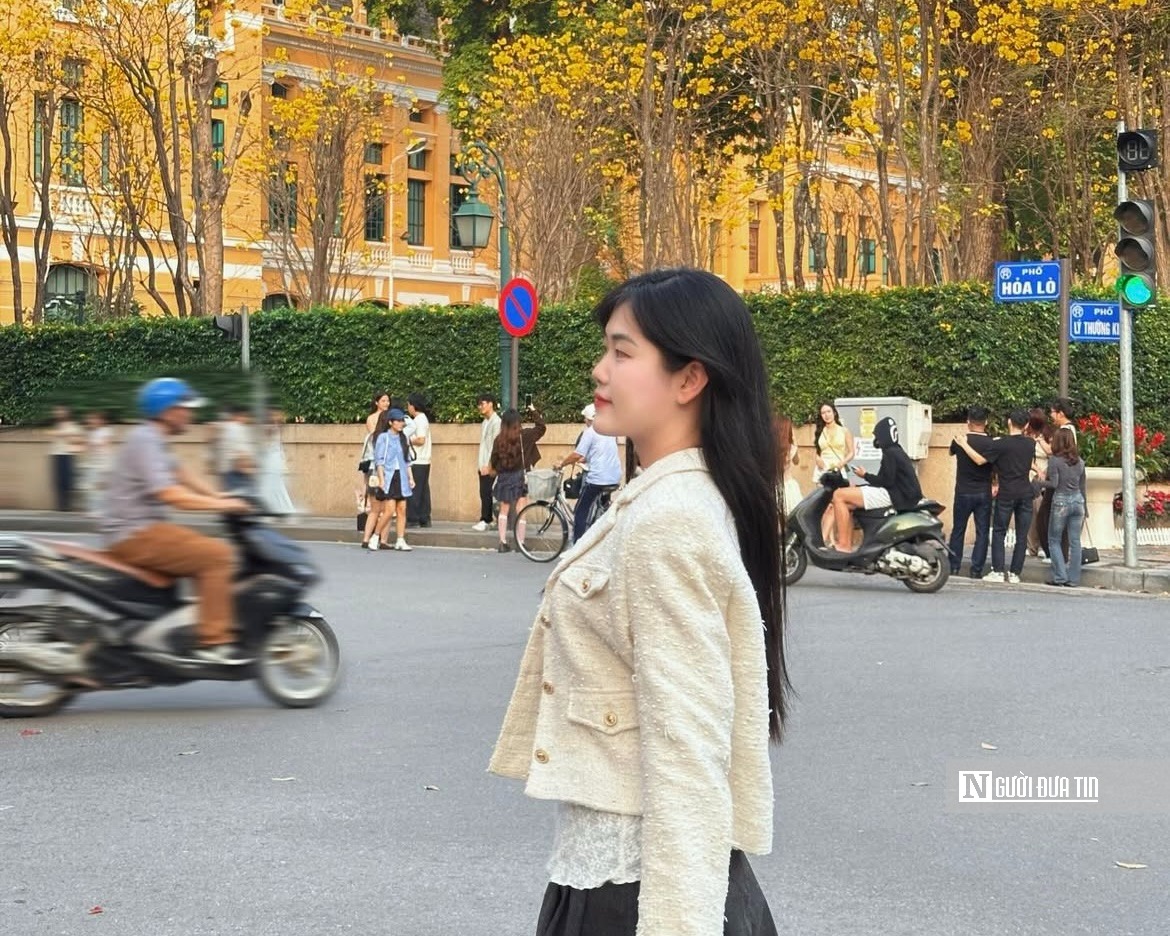 Hoa phong linh nhuộm v&agrave;ng rực trời H&agrave; Nội, giới trẻ &ugrave;n &ugrave;n k&eacute;o đến check-in - Ảnh 10.