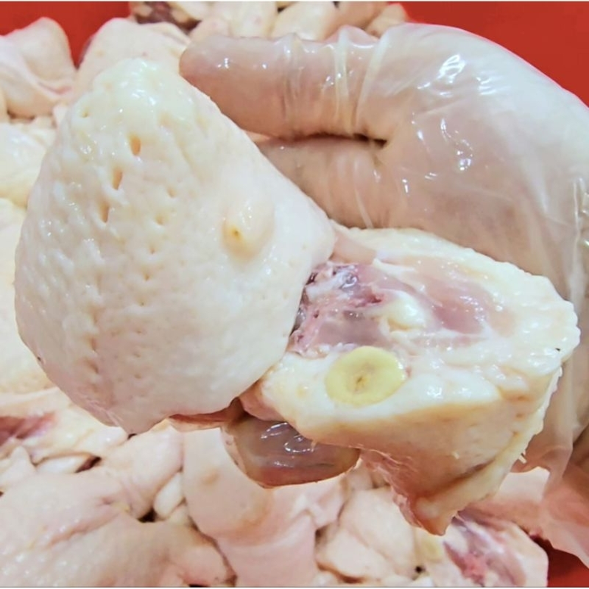 Bộ phận này của vịt chứa nhiều "độc tố" - Ảnh 2.