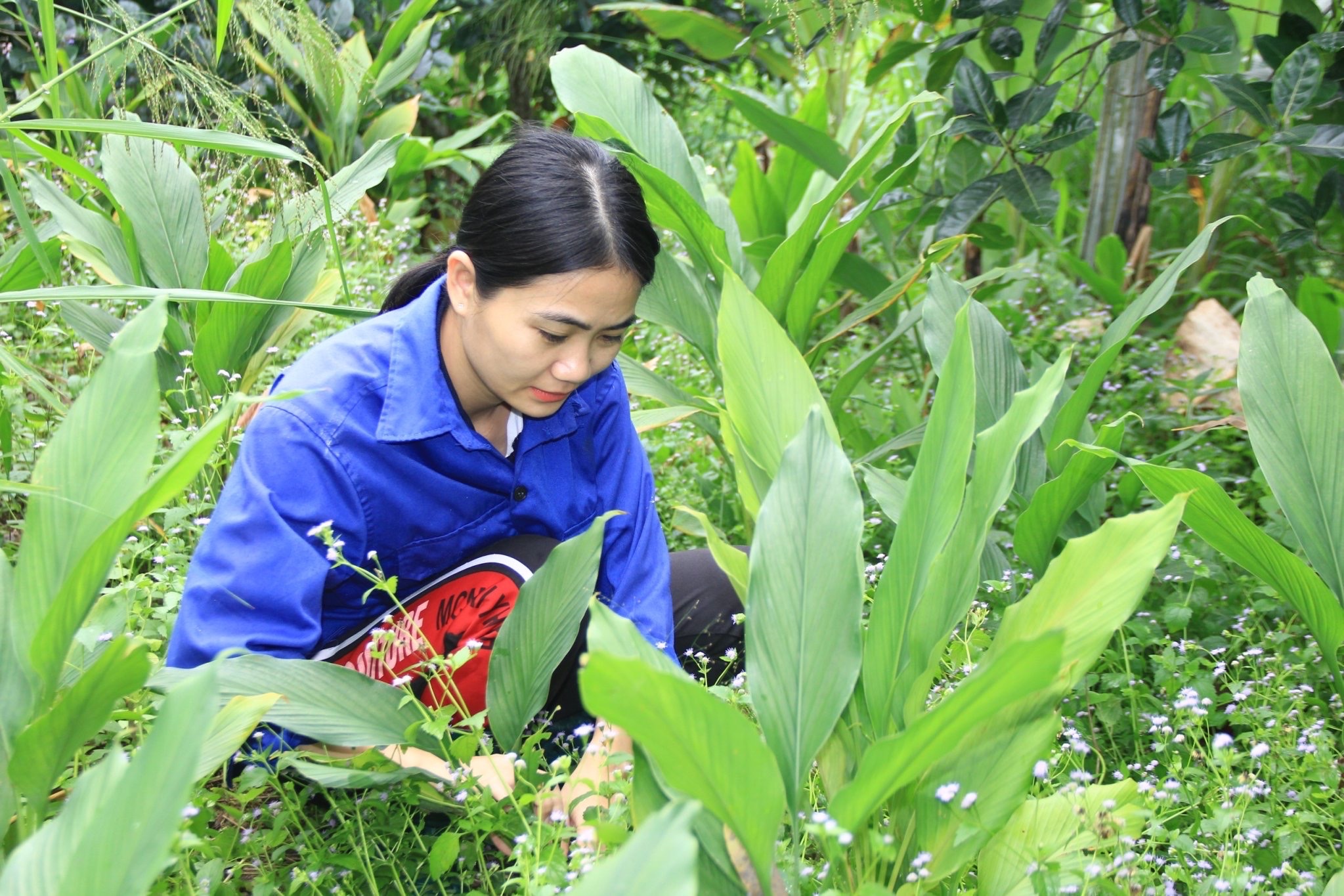 Nữ ứng viên người Thổ và khát vọng đưa tiếng nói phụ nữ miền núi tới nghị trường- Ảnh 5.