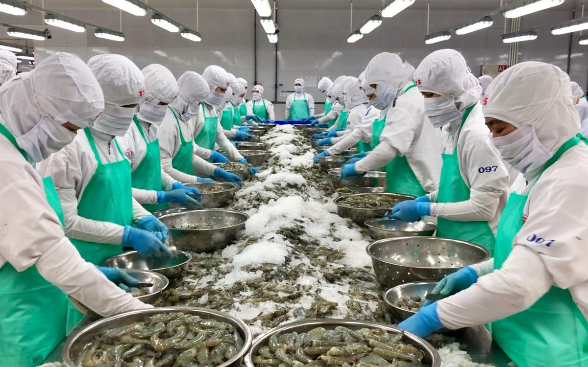 Xuất khẩu tôm Việt Nam tăng 22% trong tháng 1/2026, Trung Quốc và Nhật Bản dẫn đầu