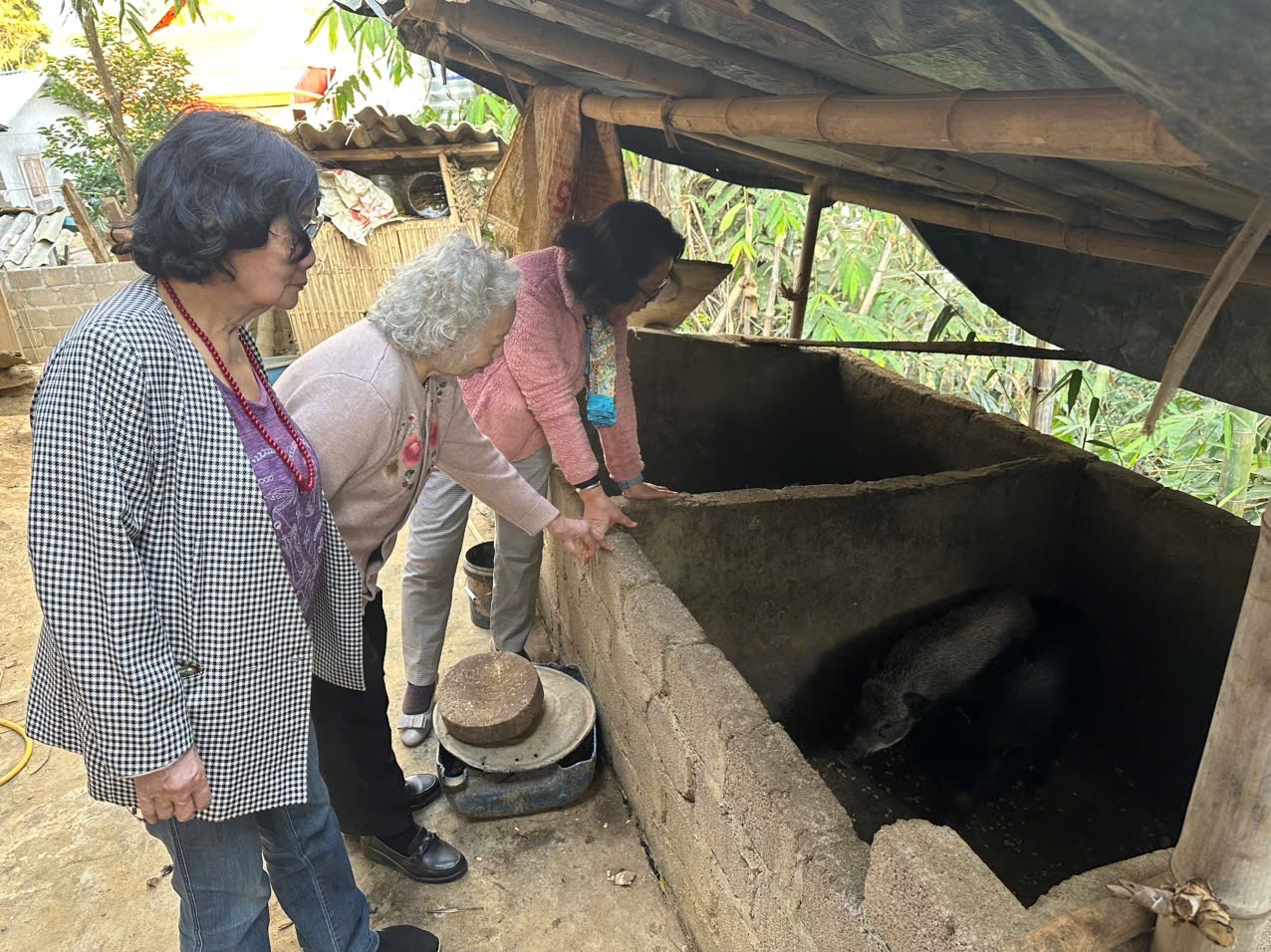 Nữ bác sĩ ngoài 80 tuổi vẫn học mỗi ngày và ký ức về ngày 8/3 "Chỉ một lời chúc"- Ảnh 2.