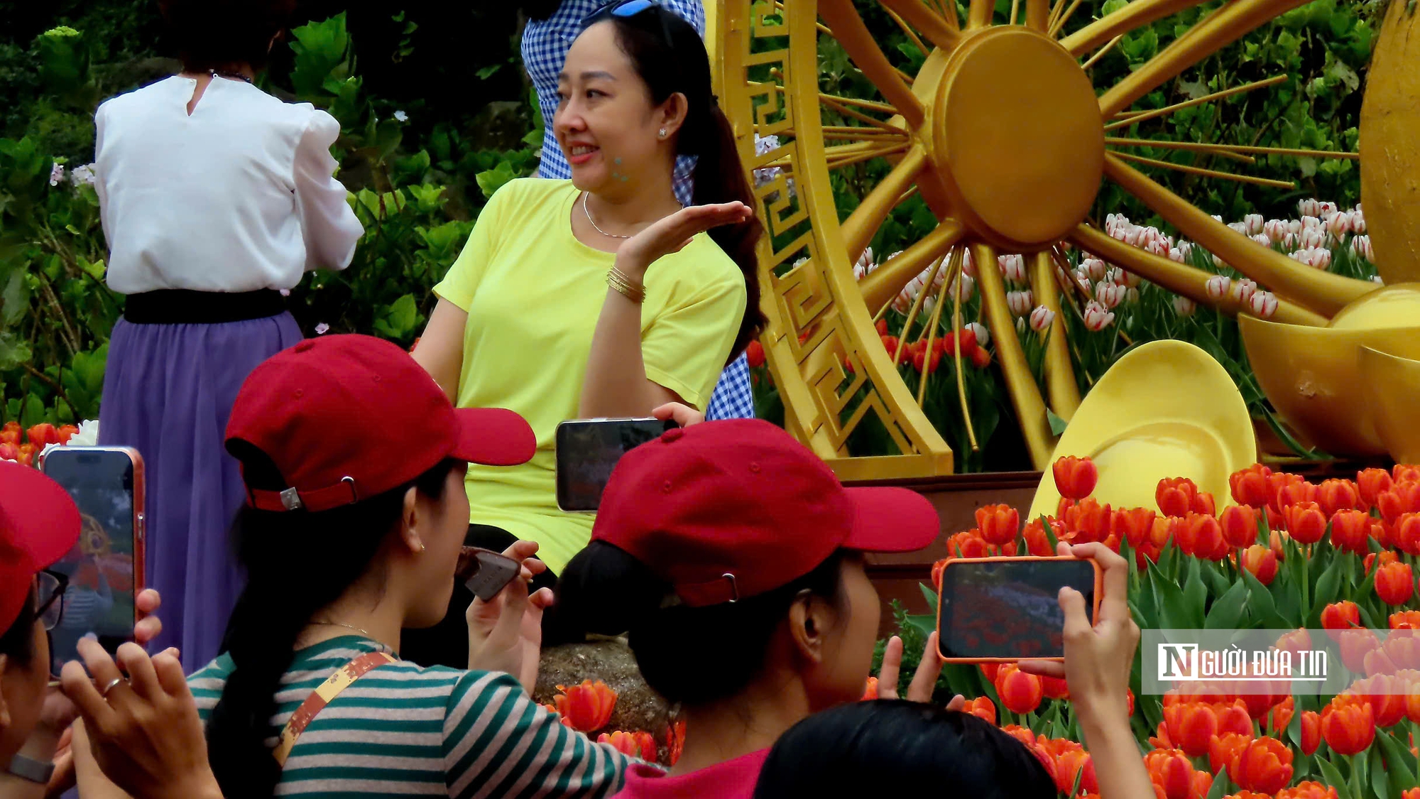 Tulip rực rỡ trên “nóc nhà Nam Bộ”- Ảnh 5.