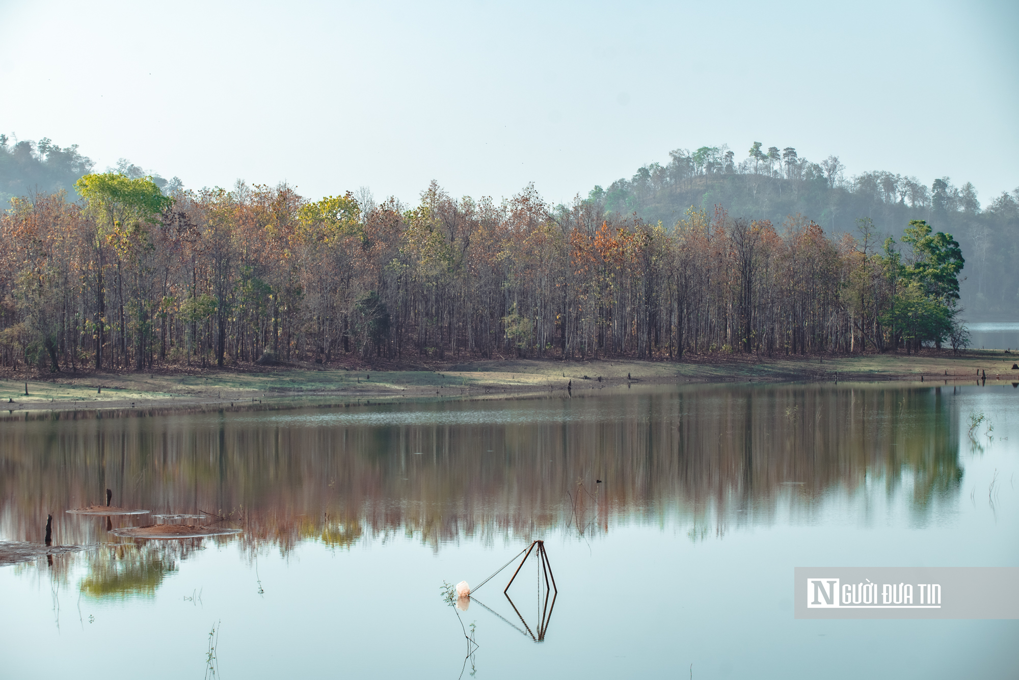 Ngắm nhìn rừng khộp lớn nhất Việt Nam mùa thay lá- Ảnh 2. Ngắm nhìn rừng khộp lớn nhất Việt Nam mùa thay lá- Ảnh 2.
