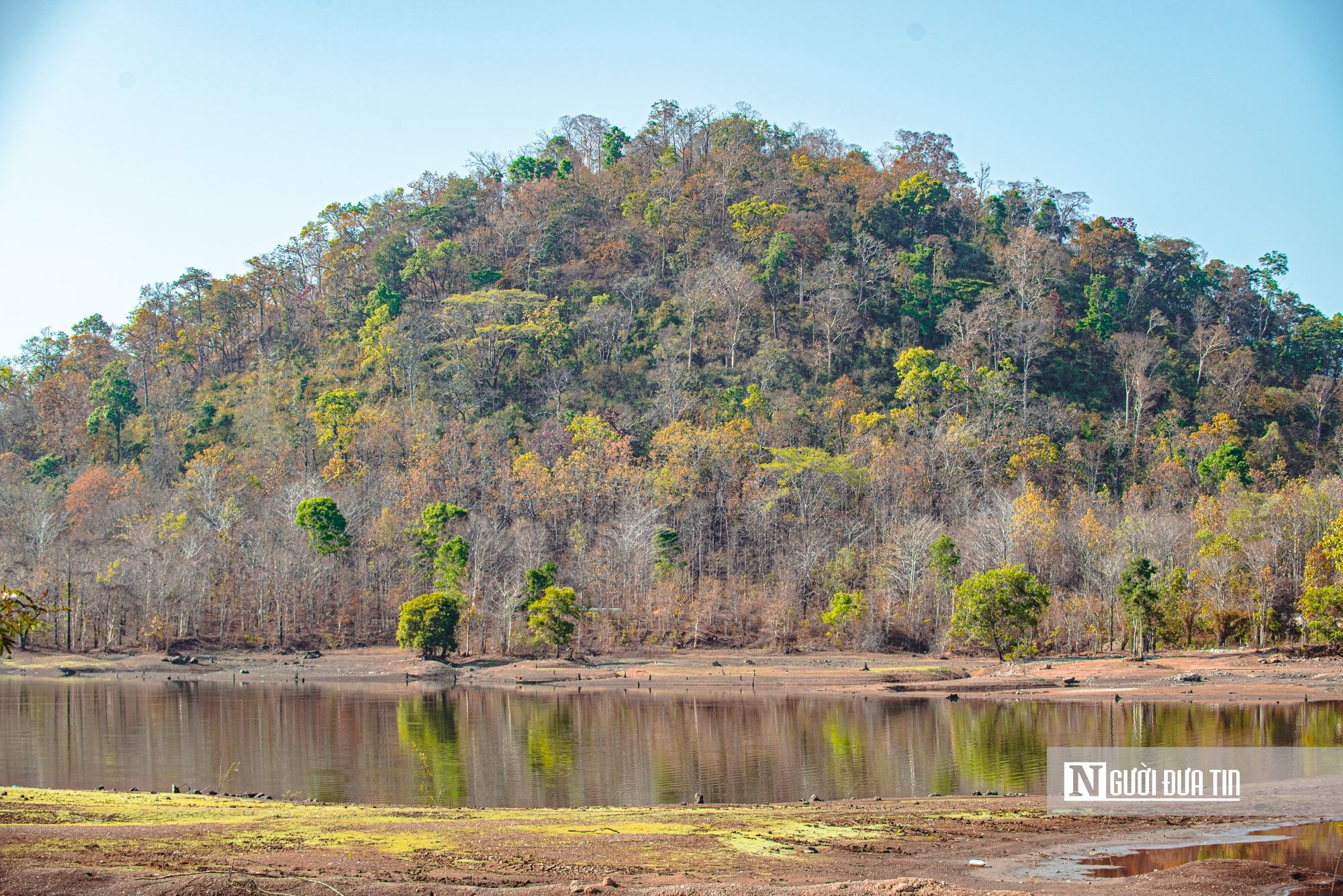 Ngắm nhìn rừng khộp lớn nhất Việt Nam mùa thay lá- Ảnh 3. Ngắm nhìn rừng khộp lớn nhất Việt Nam mùa thay lá- Ảnh 3.