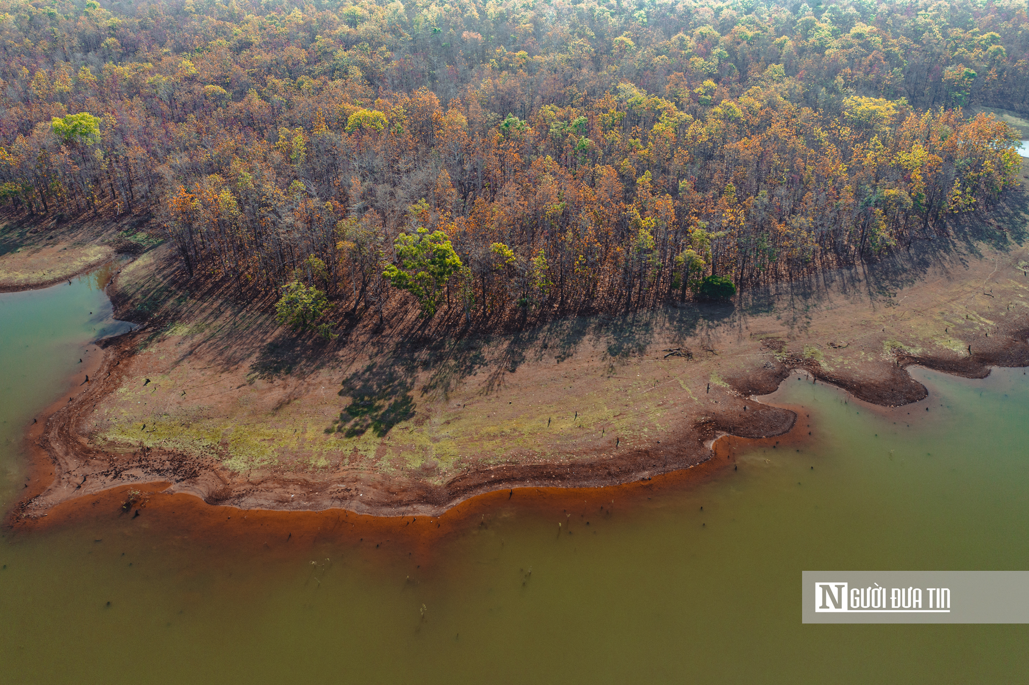 Ngắm nhìn rừng khộp lớn nhất Việt Nam mùa thay lá- Ảnh 6. Ngắm nhìn rừng khộp lớn nhất Việt Nam mùa thay lá- Ảnh 6.