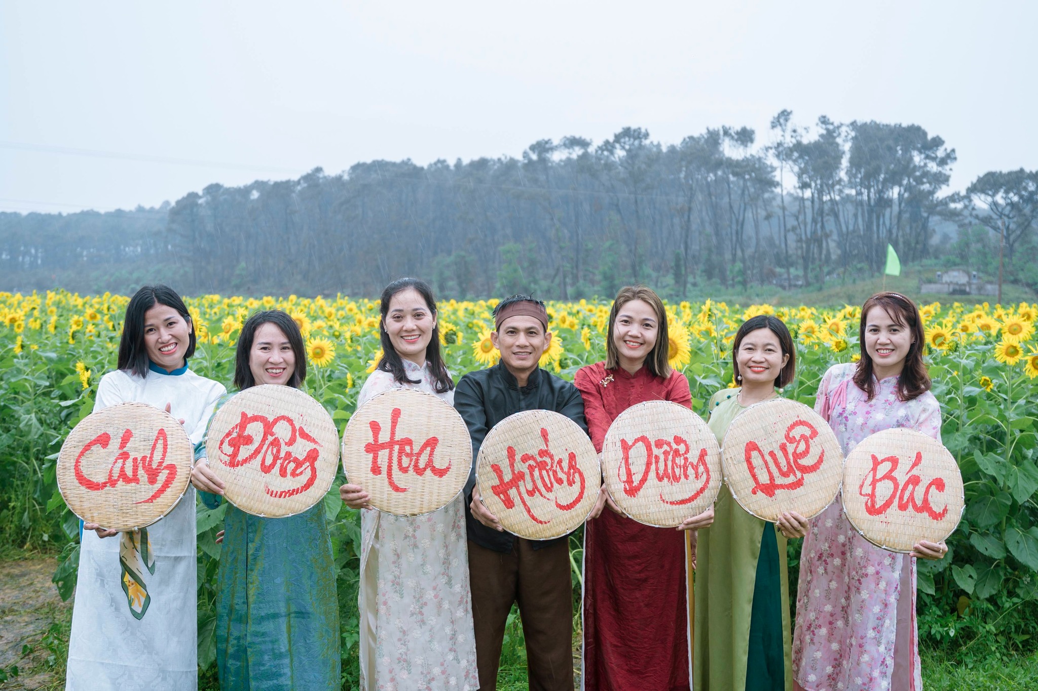 Mê mẩn vườn hoa hướng dương trên quê hương Bác Hồ 'hút' giới trẻ check-in- Ảnh 16.