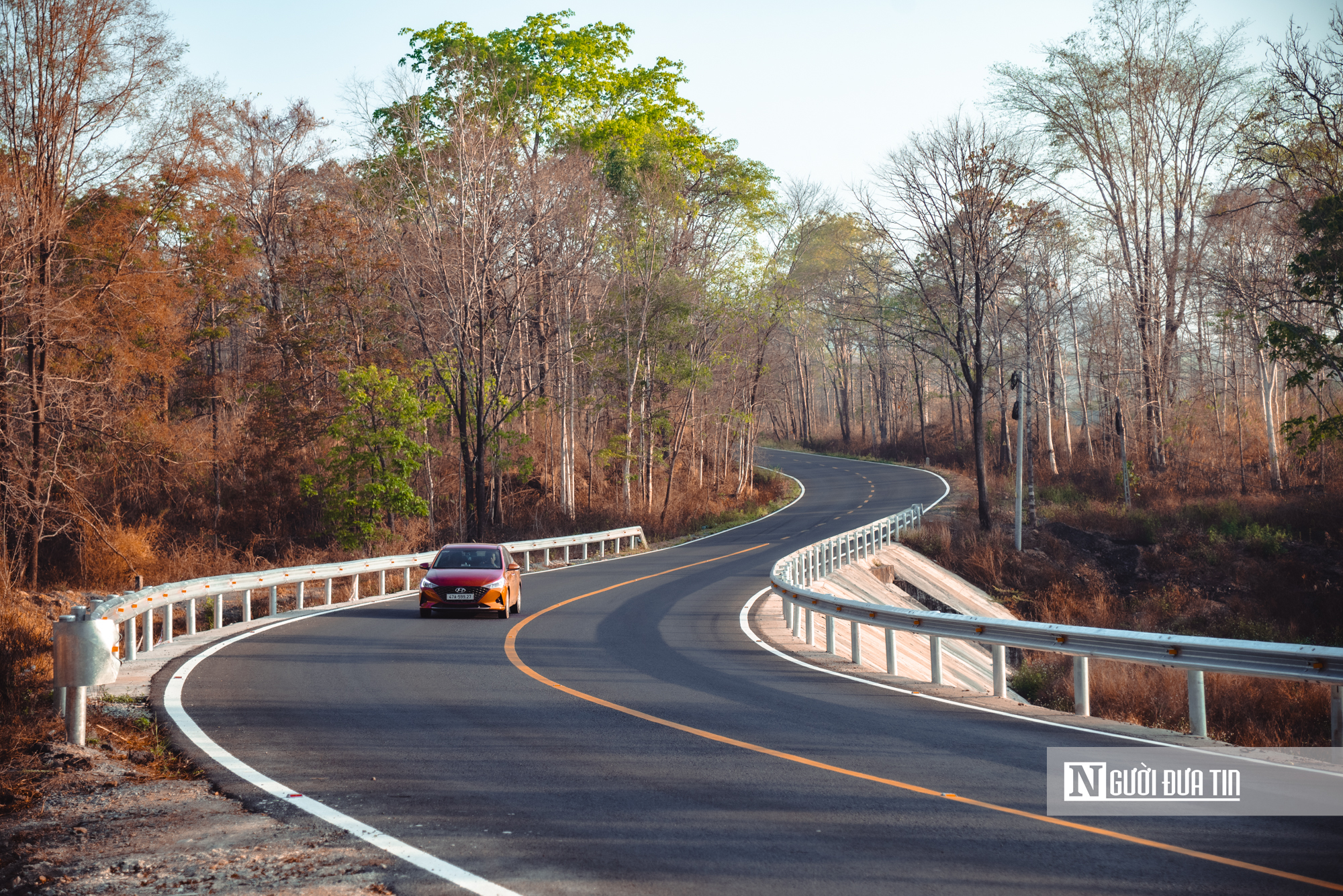 Ngắm nhìn rừng khộp lớn nhất Việt Nam mùa thay lá- Ảnh 16. Ngắm nhìn rừng khộp lớn nhất Việt Nam mùa thay lá- Ảnh 16.