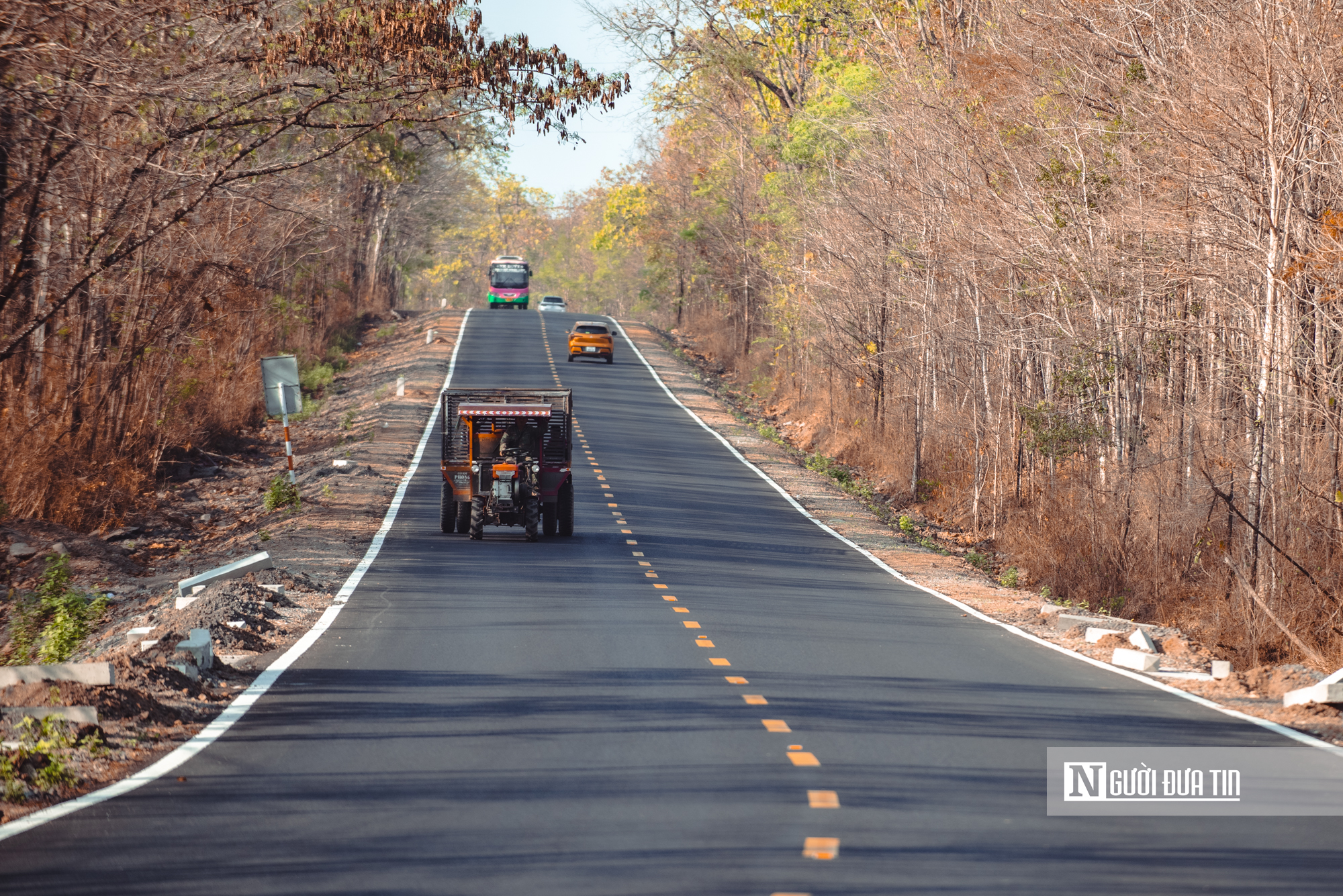 Ngắm nhìn rừng khộp lớn nhất Việt Nam mùa thay lá- Ảnh 17. Ngắm nhìn rừng khộp lớn nhất Việt Nam mùa thay lá- Ảnh 17.