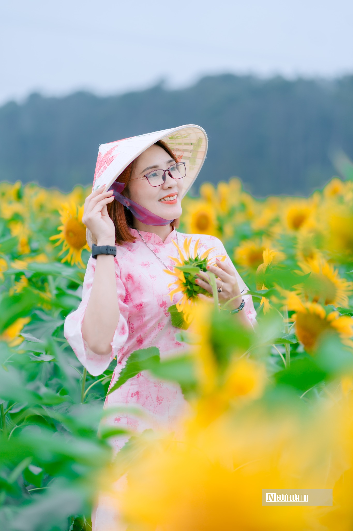 Mê mẩn vườn hoa hướng dương trên quê hương Bác Hồ 'hút' giới trẻ check-in- Ảnh 4.