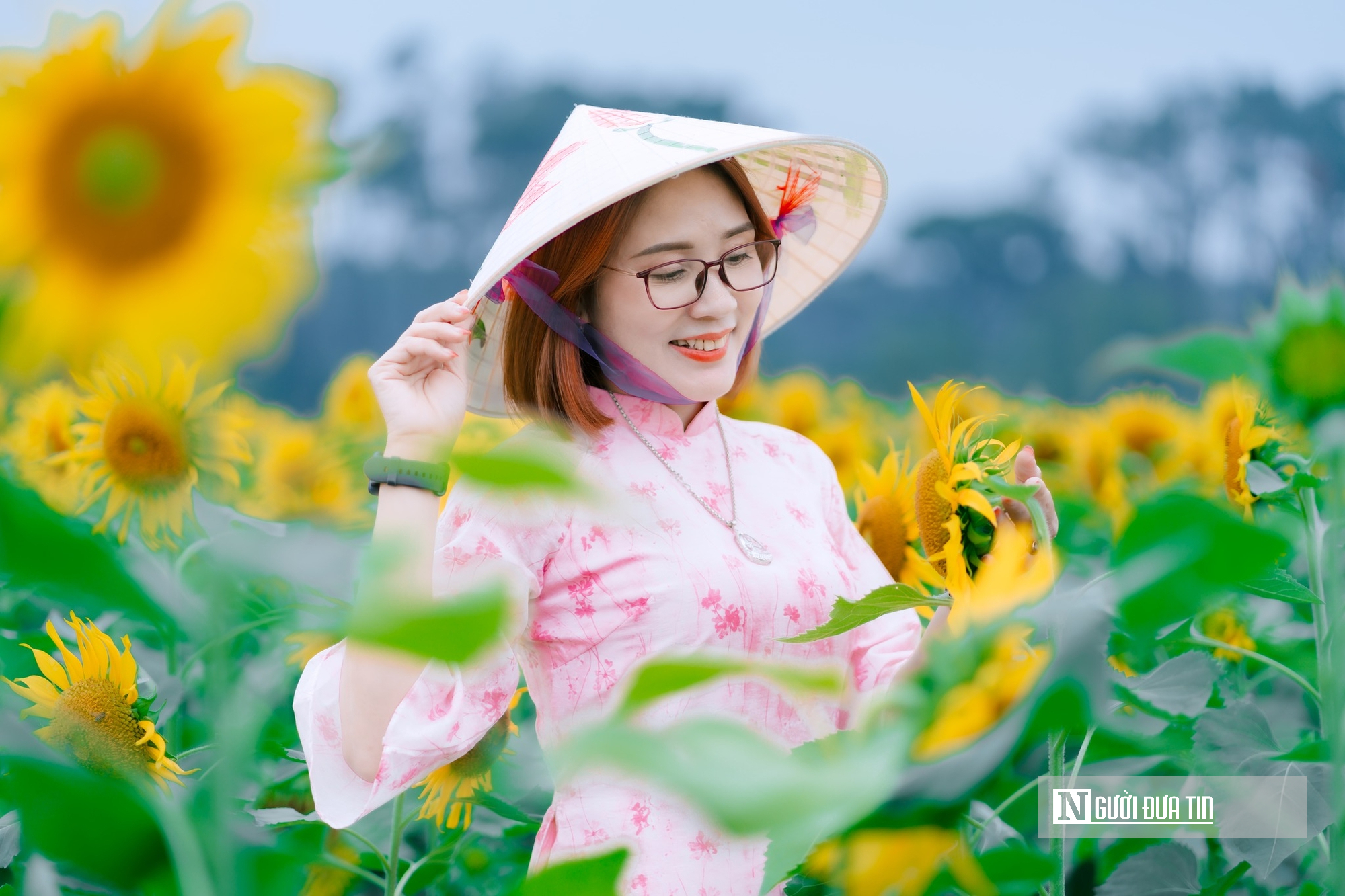 Mê mẩn vườn hoa hướng dương trên quê hương Bác Hồ 'hút' giới trẻ check-in- Ảnh 5.