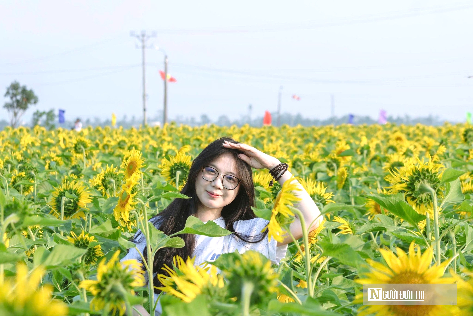 Mê mẩn vườn hoa hướng dương trên quê hương Bác Hồ 'hút' giới trẻ check-in- Ảnh 6.
