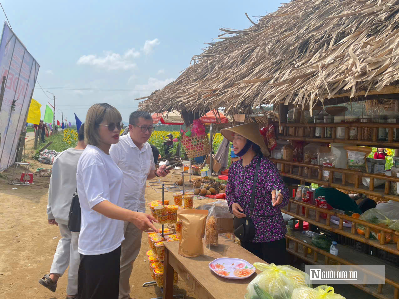 Mê mẩn vườn hoa hướng dương trên quê hương Bác Hồ 'hút' giới trẻ check-in- Ảnh 12.