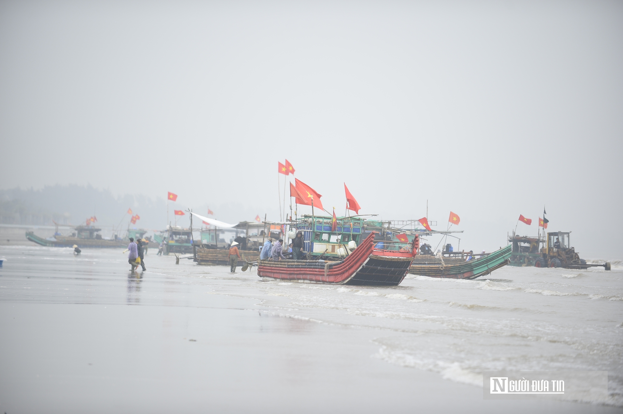 Sứa biển v&agrave;o m&ugrave;a, ngư d&acirc;n kiếm tiền triệu mỗi chuyến ra khơi- Ảnh 1.