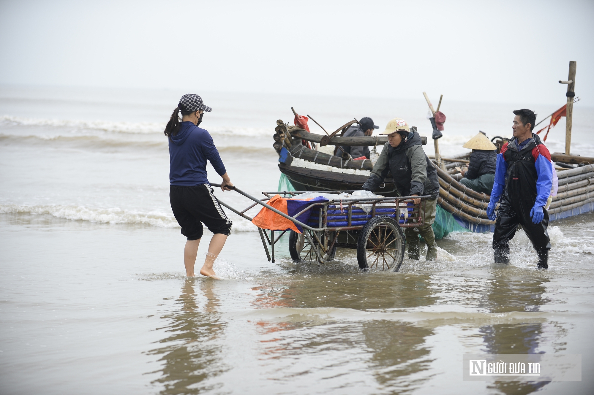 Sứa biển v&agrave;o m&ugrave;a, ngư d&acirc;n kiếm tiền triệu mỗi chuyến ra khơi- Ảnh 2.