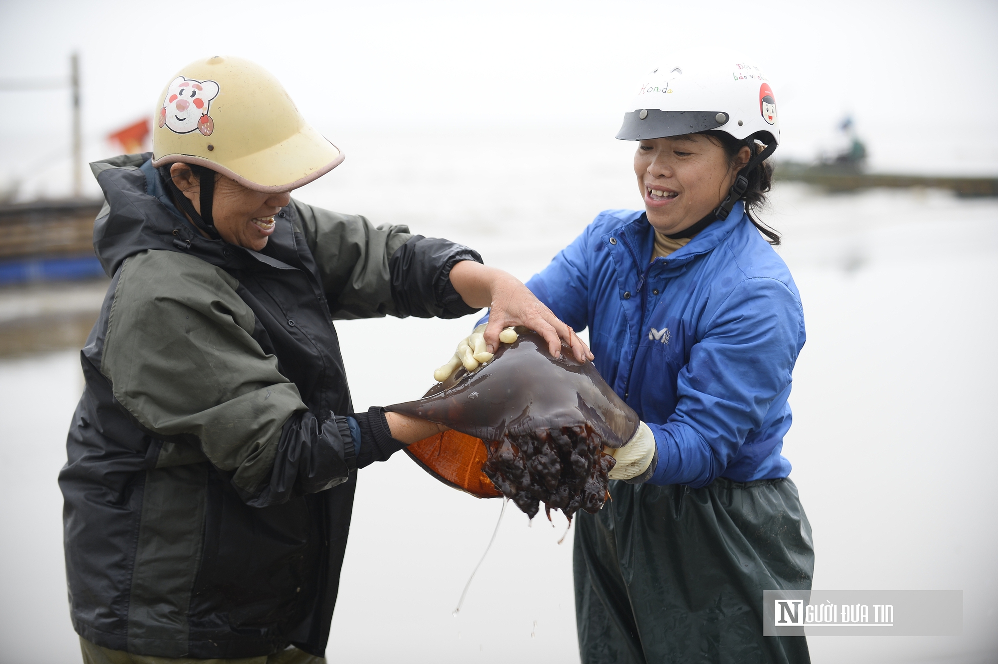 Sứa biển v&agrave;o m&ugrave;a, ngư d&acirc;n kiếm tiền triệu mỗi chuyến ra khơi- Ảnh 5.