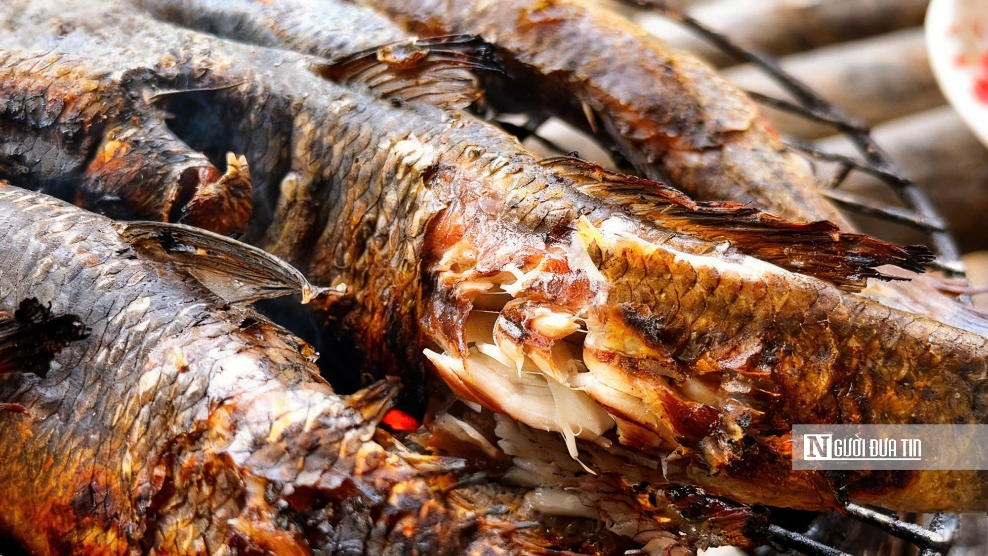 Theo chân ngư dân săn “cá biết bò” ở Đất Mũi- Ảnh 16. Theo chân ngư dân săn “cá biết bò” ở Đất Mũi- Ảnh 16.