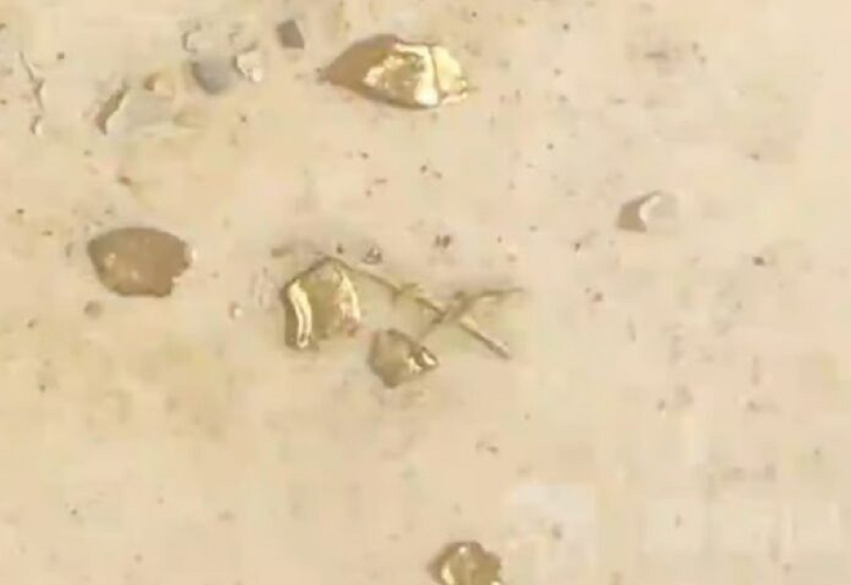 Mổ vịt, người đàn ông sốc nặng khi phát hiện 10g vàng thật trong bụng- Ảnh 1.