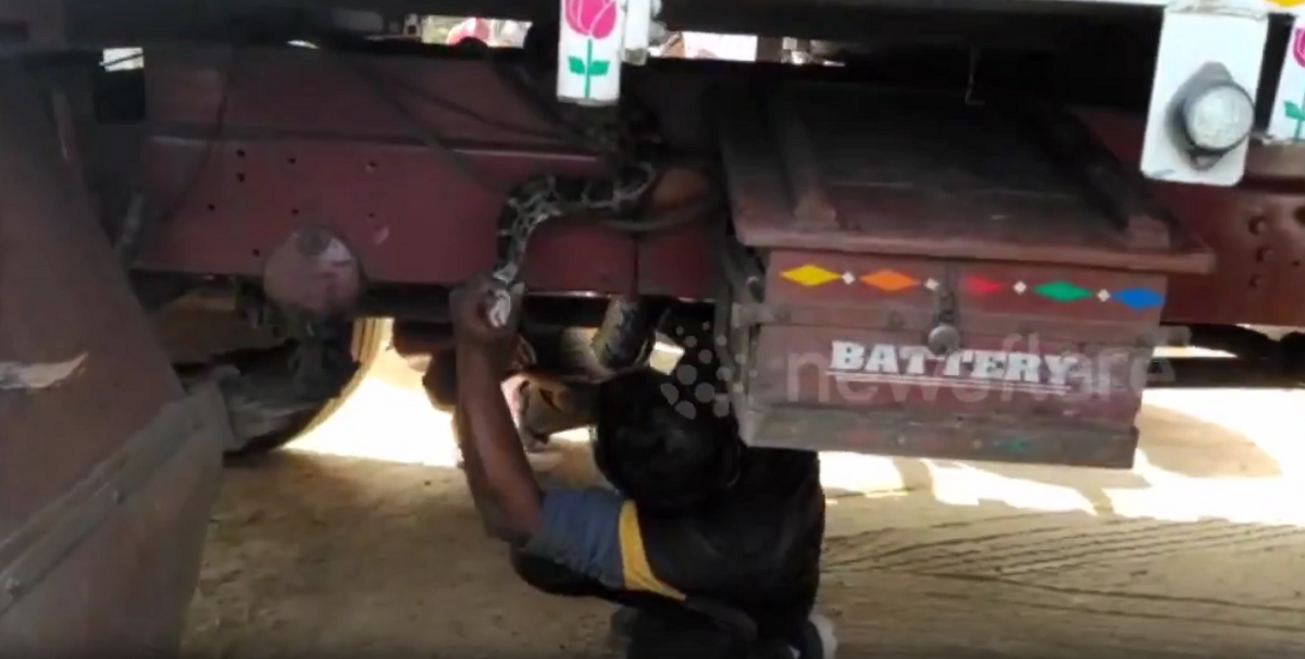 Nhìn xuống gầm xe, người đàn ông bủn rủn chân tay phát hiện cảnh tượng "nổi da gà"- Ảnh 1.