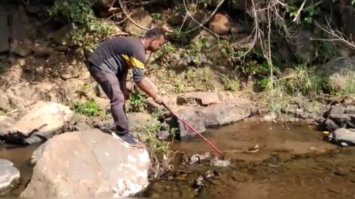 Nhìn xuống gầm xe, người đàn ông bủn rủn chân tay phát hiện cảnh tượng "nổi da gà"- Ảnh 2.