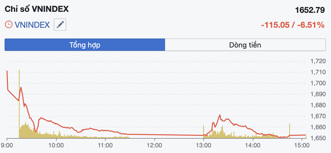 VN-Index giảm hơn 115 điểm, lập kỷ lục giảm sâu trong một phiên - Ảnh 1.