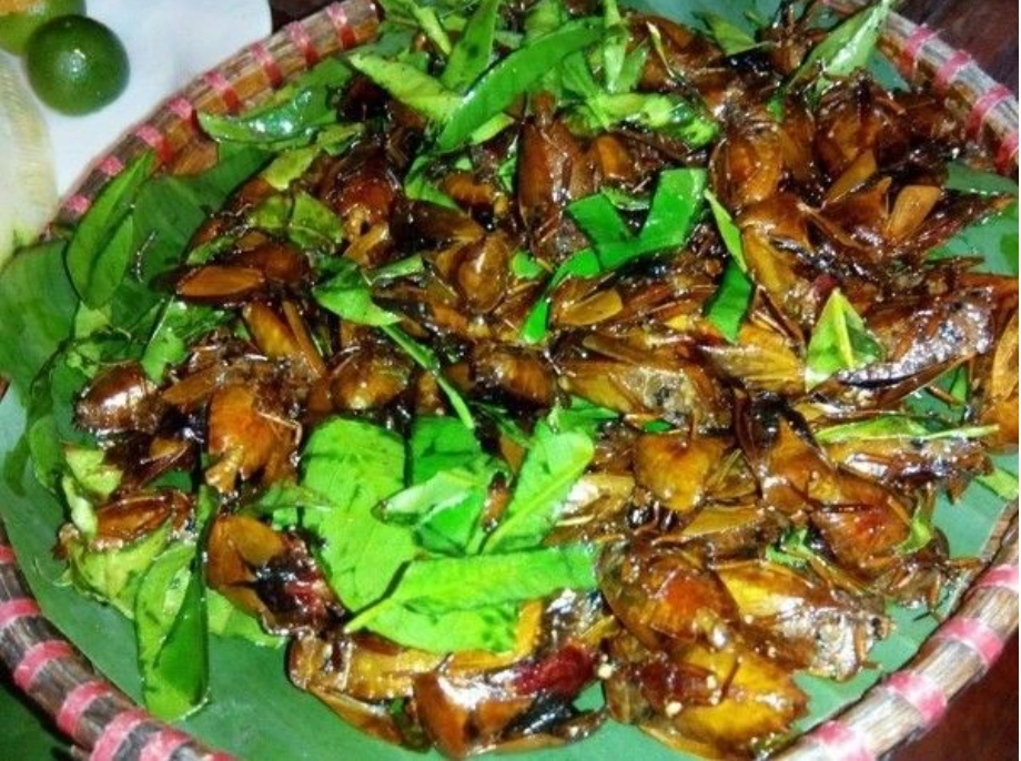 Con đặc sản nhiều người “sợ xanh mặt” lại thành đặc sản Tây Bắc tiền triệu, cách mày râu thích mê tít - Ảnh 1.