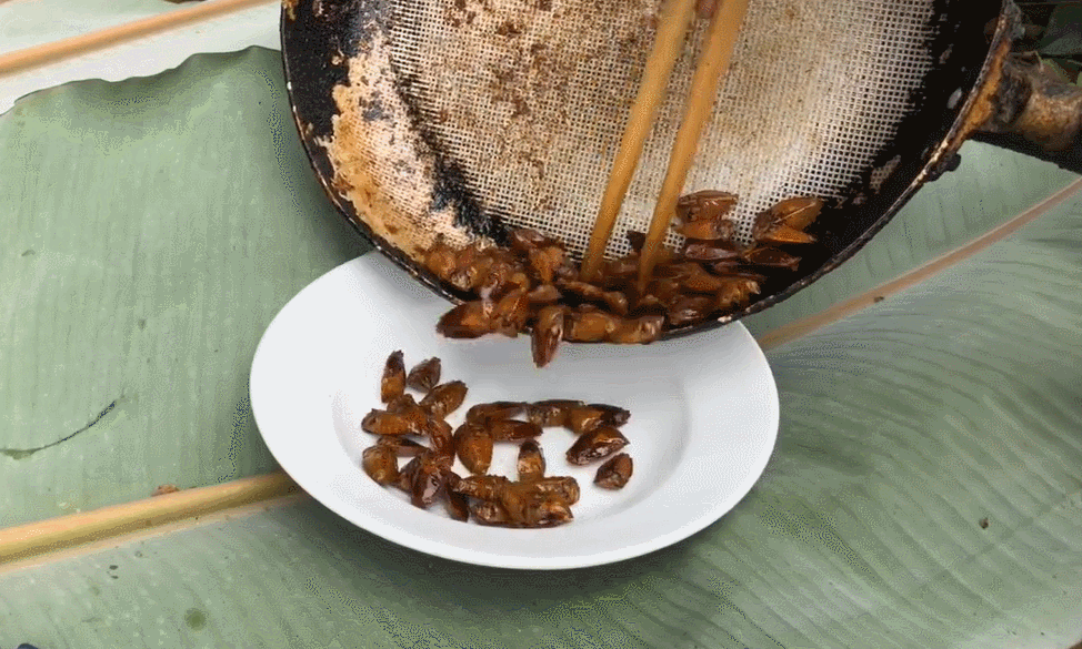 Con đặc sản nhiều người “sợ xanh mặt” lại thành đặc sản Tây Bắc tiền triệu, cách mày râu thích mê tít - Ảnh 6.