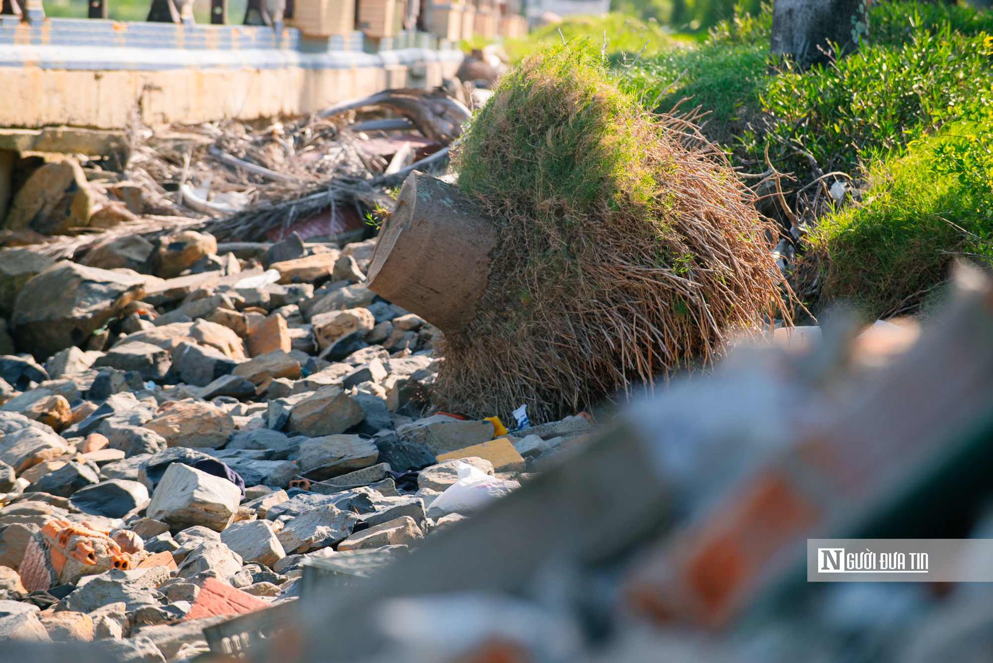Đắk Lắk: Người d&acirc;n bất an v&igrave; bờ k&egrave; Bạch Đằng sạt lở, mong sớm khởi c&ocirc;ng sửa chữa- Ảnh 5.