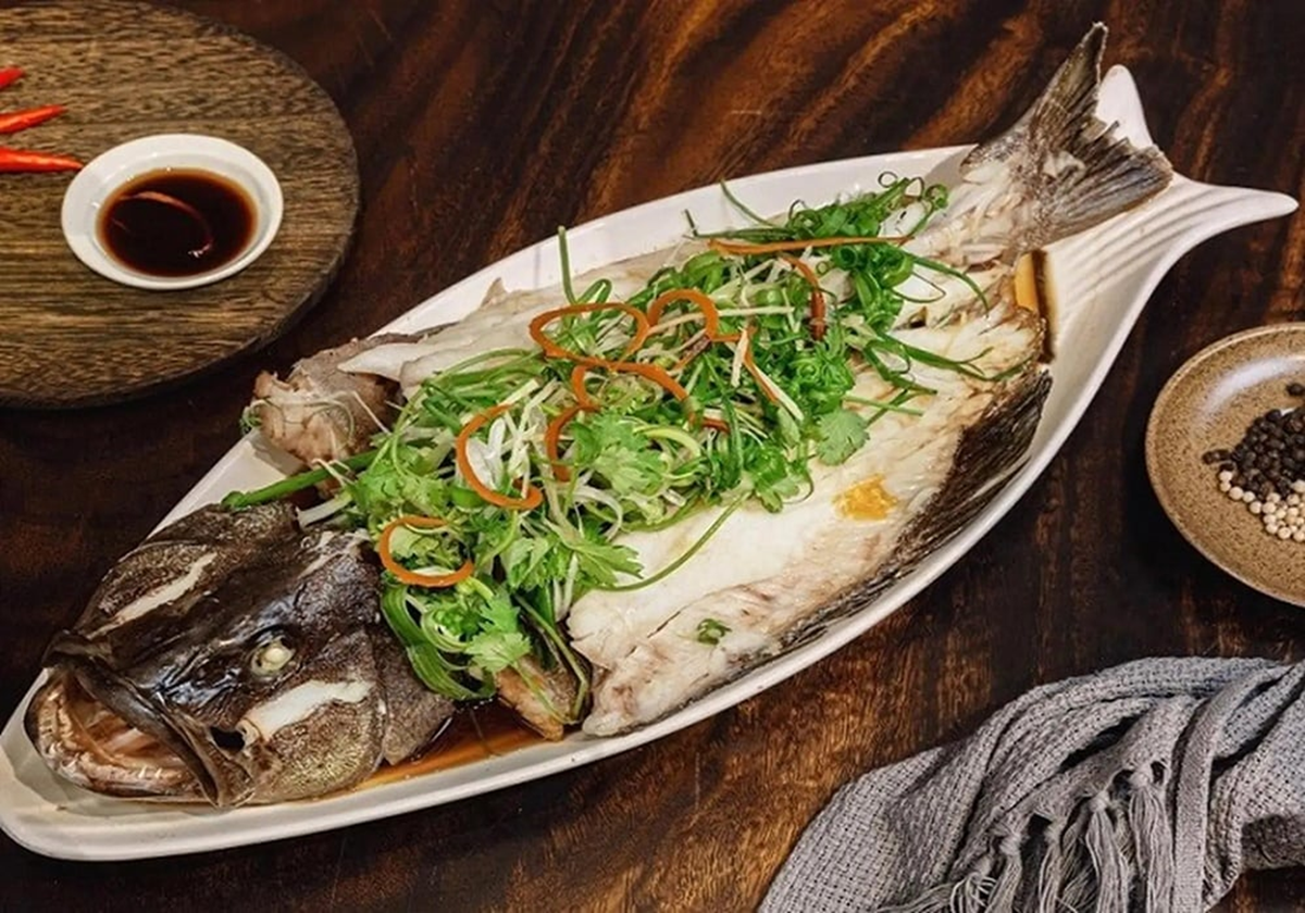 Không phải cá chép đây mới là loại cá 