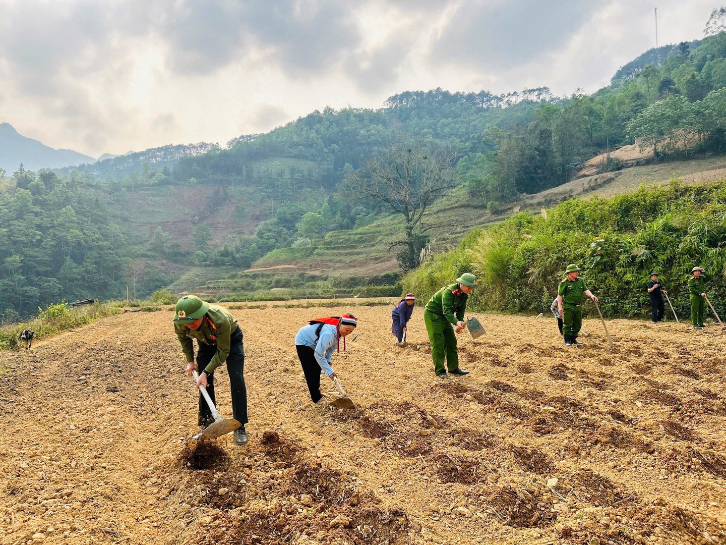 Đổi mới quy định công nhận nông thôn mới giai đoạn 2026-2030
- Ảnh 2. Đổi mới quy định công nhận nông thôn mới giai đoạn 2026-2030
- Ảnh 2.