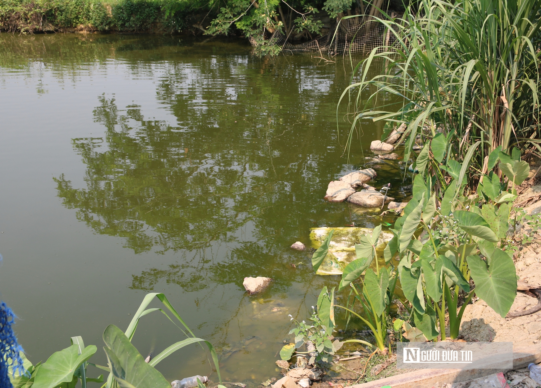 Người dân khốn đốn vì mất nước sạch hơn 1 tháng giữa thời tiết nắng nóng- Ảnh 6. Người dân khốn đốn vì mất nước sạch hơn 1 tháng giữa thời tiết nắng nóng- Ảnh 6.